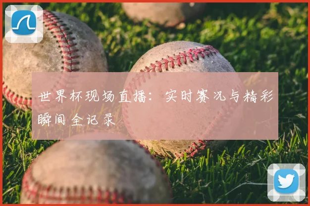 世界杯现场直播：实时赛况与精彩瞬间全记录