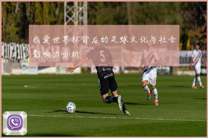 我爱世界杯背后的足球文化与社会影响力分析