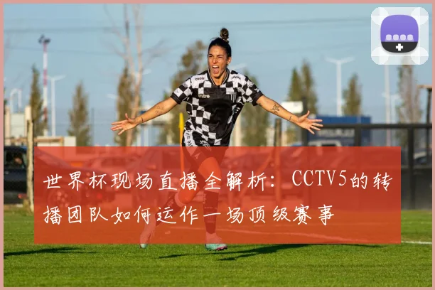 世界杯现场直播全解析：CCTV5的转播团队如何运作一场顶级赛事