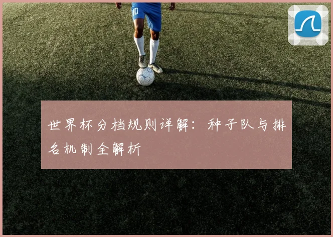 世界杯分档规则详解:种子队与排名机制全解析